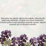 Tuba Büyüküstün Instagram - @uzm.simgesoydan 🧚🏼