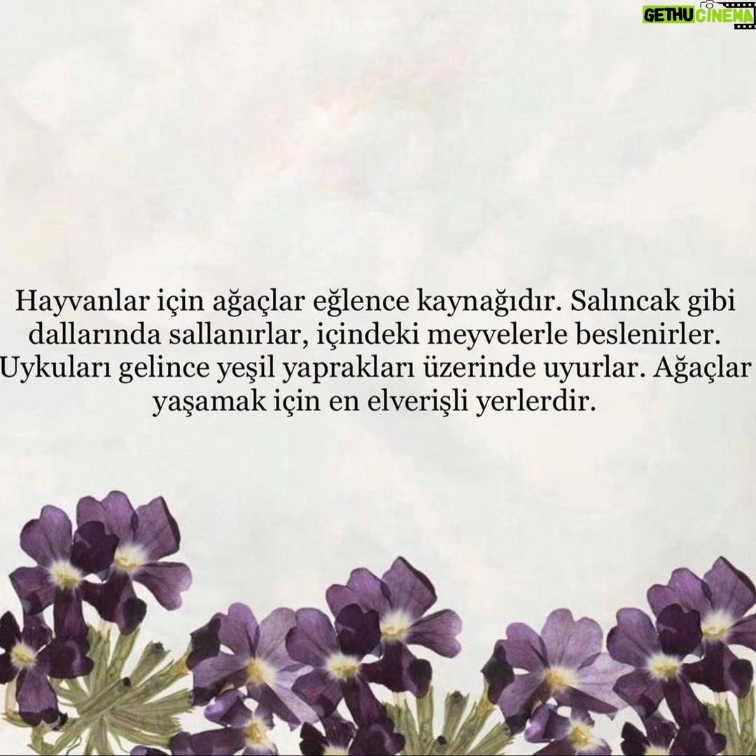 Tuba Büyüküstün Instagram - @uzm.simgesoydan 🧚🏼