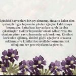 Tuba Büyüküstün Instagram - @uzm.simgesoydan 🧚🏼