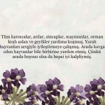 Tuba Büyüküstün Instagram - @uzm.simgesoydan 🧚🏼