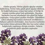 Tuba Büyüküstün Instagram - @uzm.simgesoydan 🧚🏼