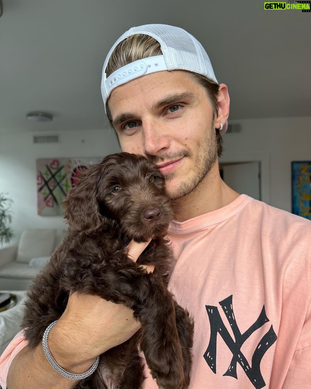 Twan Kuyper Instagram - Everyone knows I am the biggest dog dad so why not 1 more Mowgli needed a brother so I present you Baloo the newest member to the family