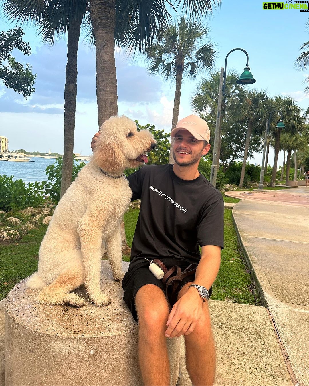 Twan Kuyper Instagram - What's better than dogs?