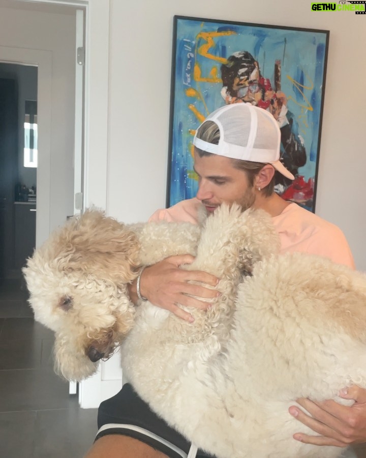 Twan Kuyper Instagram - Everyone knows I am the biggest dog dad so why not 1 more Mowgli needed a brother so I present you Baloo the newest member to the family