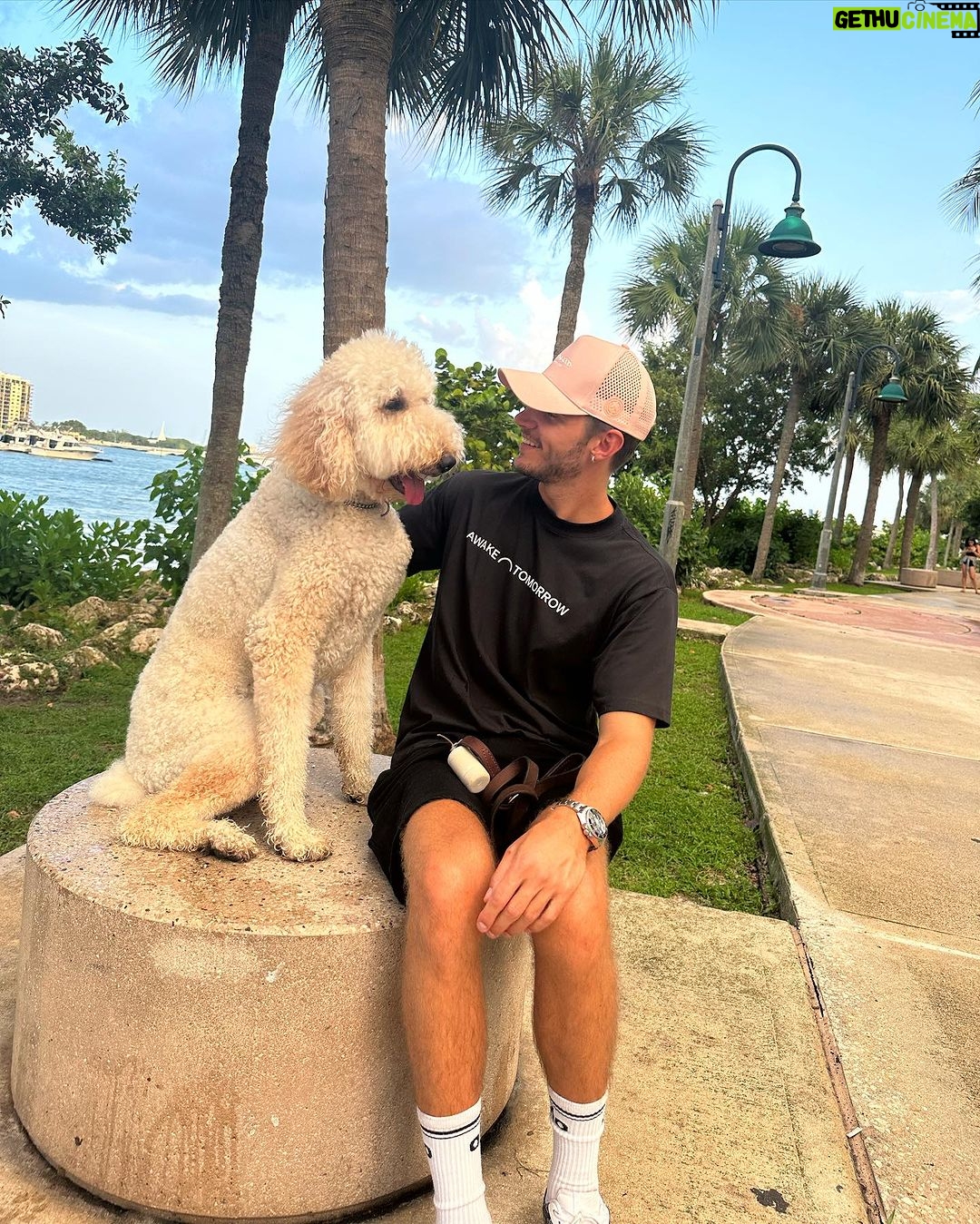 Twan Kuyper Instagram - What's better than dogs?