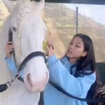 Txunamy Ortiz Instagram - Groom my horse with me 🐎