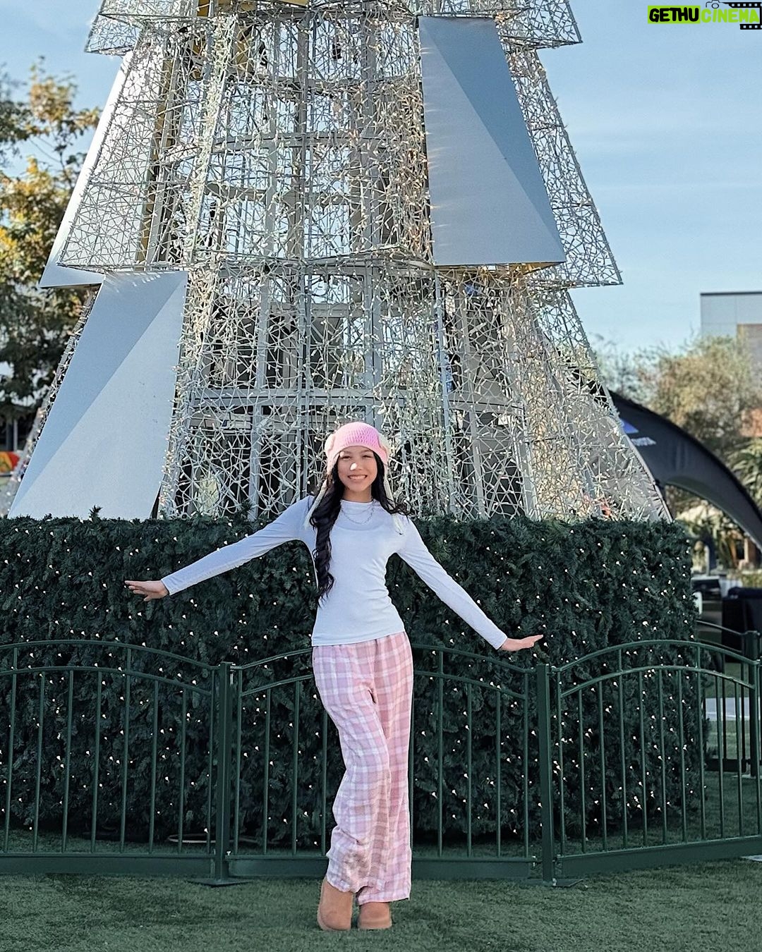 Txunamy Ortiz Instagram - It’s Pink Christmas at my house this year 🎄🩷 *link in bio*