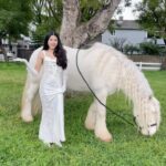 Txunamy Ortiz Instagram - Drop her name in the comments! 💠 @familiadiamond