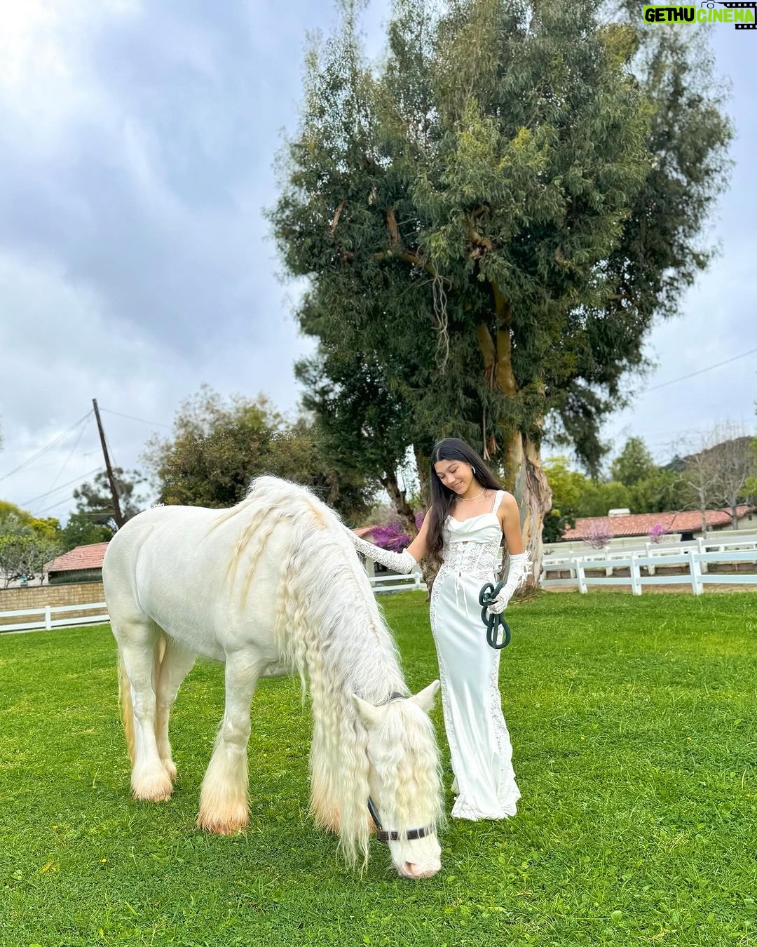 Txunamy Ortiz - 117.9K Likes - 15! 🎂 last slide is my fav 💎 what should i name her?