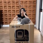 Tyas Mirasih Instagram - Toilet sultan buat anabul akhirnya dateng! Ngga perlu capek lagi buat serok pup/pee kucing di rumah deh 😻 Seperti namanya, Pura Max Self Cleaning Cat Litter Box ini akan membersihkan secara otomatis pup & pee kucing kamu setelah mereka buang air. Dengan kecanggihan teknologi PETKIT, kamu bisa atur periode cleaning, semprot purifying odor dan pantau frekuensi penggunaan toiletnya dari aplikasi. Keren banget kan. Instalasinya juga gampang dan udah dapet semua aksesoris juga lho. Pura Max ini bisa menggunakan semua jenis clumping litter ya, Jadi buat kamu yang udah nyaman pakai pasir tofu atau mixed ngga usah bingung lagi. Nah, kalau kamu mau hidup lebih simple dengan jadwal super padat, PETKIT Pura Max adalah solusi paling tepat buat kamu. Beli sekarang juga @petkitid & @petmartindonesia Jangan lupa join giveaway bareng aku di akun @petkitid dan dapetin kesempatan buat bawa pulang PETKIT Eversweet Solo. Yuk, buruan cek di akunnya @petkitid
