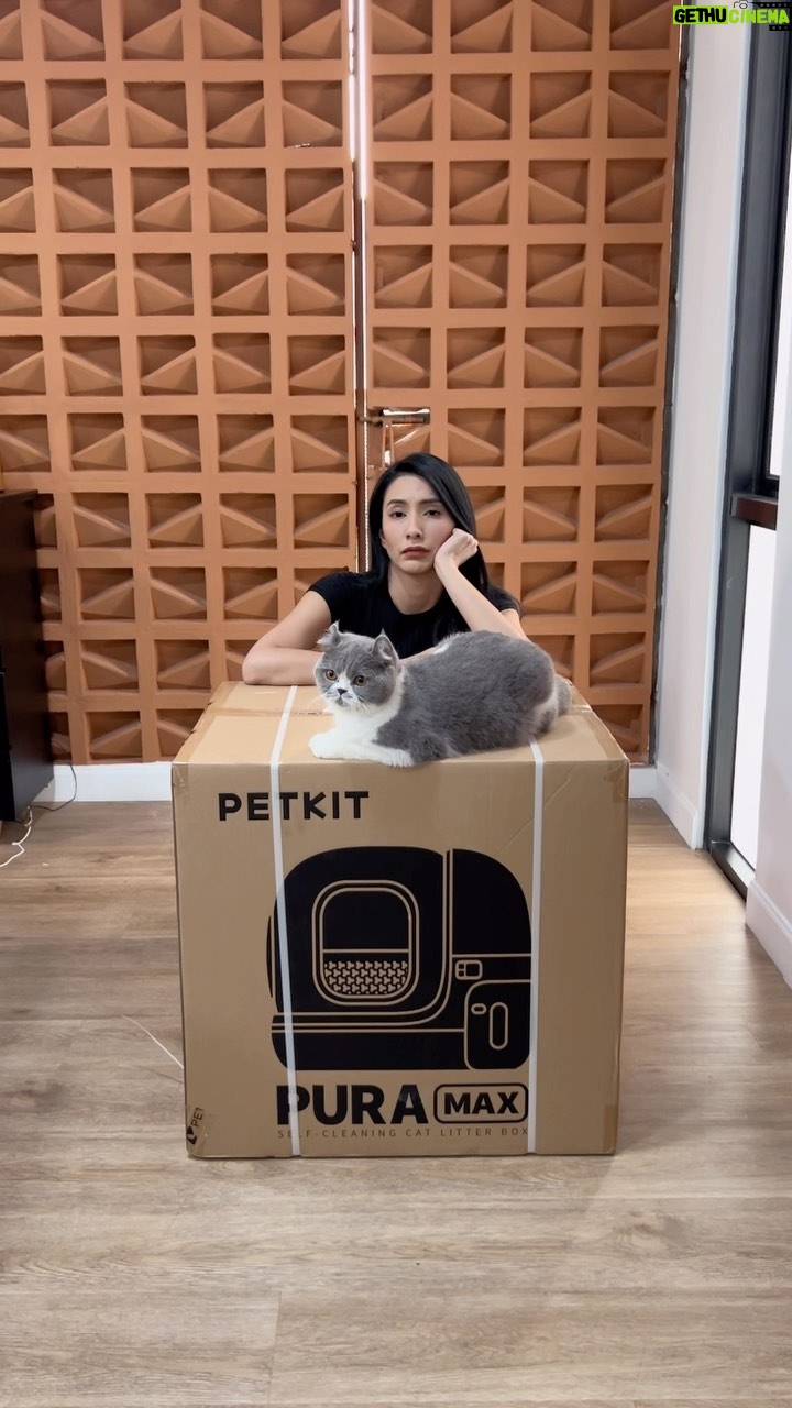 Tyas Mirasih Instagram - Toilet sultan buat anabul akhirnya dateng! Ngga perlu capek lagi buat serok pup/pee kucing di rumah deh 😻 Seperti namanya, Pura Max Self Cleaning Cat Litter Box ini akan membersihkan secara otomatis pup & pee kucing kamu setelah mereka buang air. Dengan kecanggihan teknologi PETKIT, kamu bisa atur periode cleaning, semprot purifying odor dan pantau frekuensi penggunaan toiletnya dari aplikasi. Keren banget kan. Instalasinya juga gampang dan udah dapet semua aksesoris juga lho. Pura Max ini bisa menggunakan semua jenis clumping litter ya, Jadi buat kamu yang udah nyaman pakai pasir tofu atau mixed ngga usah bingung lagi. Nah, kalau kamu mau hidup lebih simple dengan jadwal super padat, PETKIT Pura Max adalah solusi paling tepat buat kamu. Beli sekarang juga @petkitid & @petmartindonesia Jangan lupa join giveaway bareng aku di akun @petkitid dan dapetin kesempatan buat bawa pulang PETKIT Eversweet Solo. Yuk, buruan cek di akunnya @petkitid