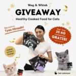 Tyas Mirasih Instagram - GIVEAWAY WAG & WHISK x TYAS MIRASIH! 🐱🎉 Perkenalkan healthy cooked food untuk kucing by Wag & Whisk! Makanan sehat & berkualitas yang terbuat dari bahan alami - memenuhi kebutuhan nutrisi seimbang & optimal si anabul 🐈‍⬛ Penasaran mau coba? Yuk ikutin giveawaynya! Caranya gampang😻 1. Follow @wagandwhisk @tyasmirasih @blissful_cathouse 2. ⁠Like postingan ini & lainnya 3. ⁠Share post ini ke IG story kalian & mention/tag kita (Akun tidak di private) 4. Mention 3 teman kalian di kolom komentar & sebutkan alasan kalian ingin mencoba cooked food dari Wag & Whisk 5 pemenang masing-masing akan mendaptkan 5 KG cooked food Wag & Whisk untuk kucing (10 pcs x 500 gram - campur varian)✨ S&K - Periode Giveaway dari tanggal 17 Feb 2024 - 1 Maret 2024 - ⁠Untuk pemilik kucing (mohon akun IG tidak private) - ⁠Pengumuman pemenang di tanggal 4 Maret 2024 via IG story Wag & Whisk. Pemenang akan di contact via DM (jika tidak merespon dalam 24 jam, akan dipilih pemenang baru) - ⁠Semua orang di wilayah Indonesia dipersilahkan ikut giveaway (Pengiriman dari Jakarta. Karena produk berupa frozen food, kami hanya bisa kirim ke area Jabodetabek & lainnya yang terjangkau oleh Paxel) #ChooseHealthyWithWagandWhisk #WagandWhisk #FreshCookedFoodforPets