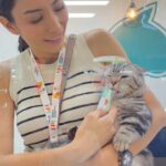 Tyas Mirasih Instagram - Seneng banget di tahun ini aku dan Kuaci bisa ikut bagian dalam pet expo terbesar di indonesia @iipe.official bersama dengan @coucou_indonesia di tgl 2 agustus 2023 kemarin. Disana aku juga bersama dengan drh Dinda Distika berbagi pengalaman dalam mengurus anabul dan juga memberikan edukasi tentang cara mencegah dan menangani ektoparasit pada kucing kesayangan kita. Sebagai cat owner dan juga cat lover, kita perlu lebih memperhatikan kesehatan kucing kita agar terhindar dari segala macam penyakit khususnya parasit seperti kutu dan tungau. Apa yang harus kita perhatikan agar kucing terhindar dari parasit? Bagaimana cara penanganan dan pencegahannya? Salah satunya pasti dengan memberikan asupan yang sehat untuk anabul kita, makanya aku juga memberikan info untuk anabul kita mengkonsumsi Coucou Dry Food Variant Tuna yang mengandung asam amino, minyak tuna, vitamin, dan protein tinggi yang bagus untuk kesehatan kulit dan bulu. Happy banget bisa ikut berbagi info. Thank you so much @coucou_indonesia & @iipe.official for the opportunity. Sampai jumpa lagi tahun depan ya 😻 📹 : @tengkutezi ICE Indonesia - Indonesia Convention Exhibition ICE BSD City