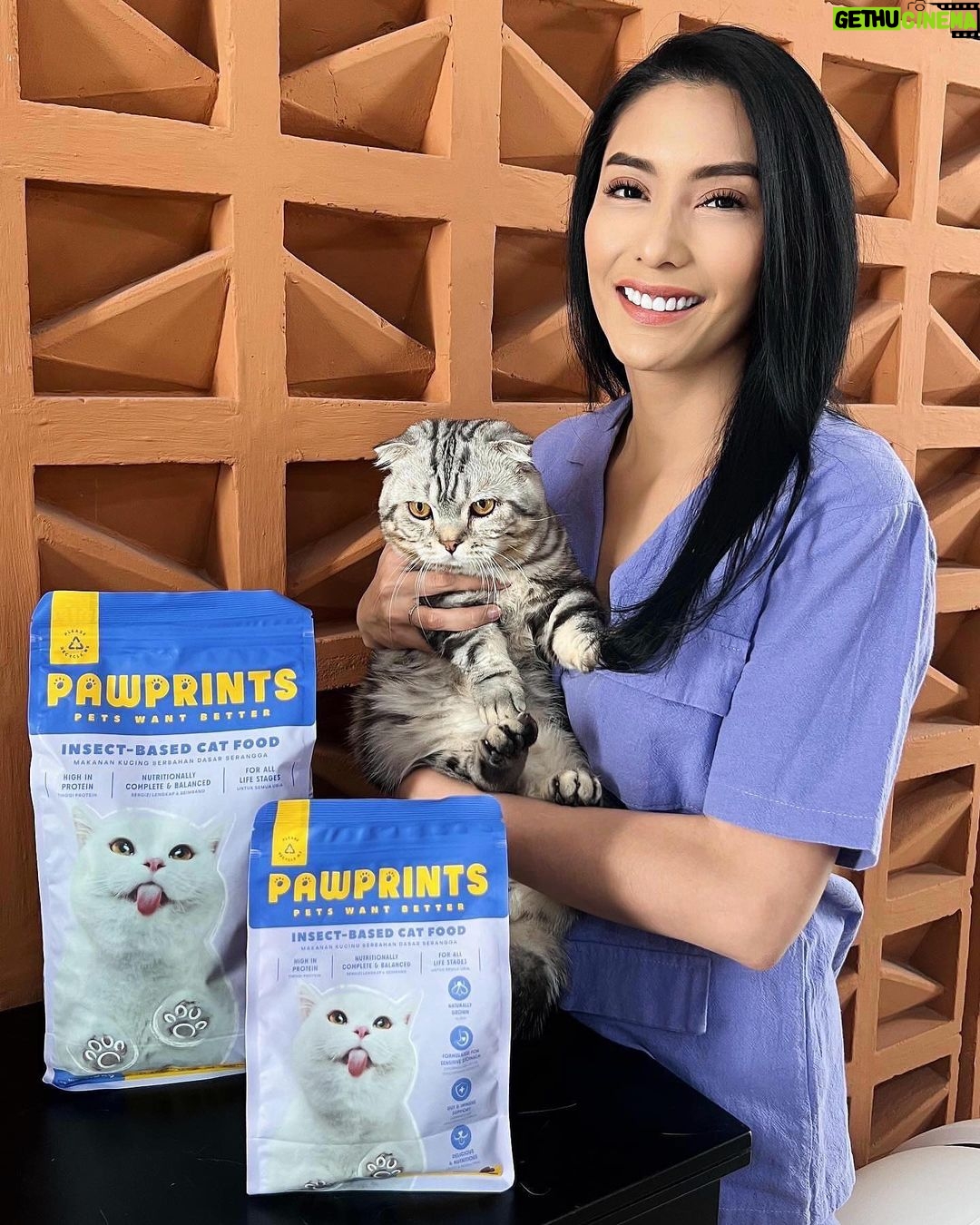 Tyas Mirasih Instagram - 🎁GIVEAWAY ALERT🎁 Siapa bilang serangga berbahaya untuk kucing? Eitts, ada lho serangga yang berbeda yang punya banyak manfaat, yaitu Black Soldier Fly (BSF)! Nah pas banget ada @pawprintsindonesia - pet food pertama di Indonesia yang bahan dasarnya dari BSF! Kaya protein, vitamin, mineral, omega 3 dan 6, juga taurin. Kucingku ternyata LAHAP BANGET makan Pawprints! BSFnya Pawprints spesial karena diternak di pabrik bersertifikasi ✅ dan makannya hanya ampas kelapa sawit yang berkualitas. Bahkan Pawprints sudah lulus standar AAFCO loh 👏🏻 Aku jadi ngga ragu untuk beralih ke Pawprints, dan mau kasih GIVEAWAY🎁 untuk 5 ORANG BERUNTUNG yang mau kasih coba Pawprints ke anabulnya! Caranya gampang banget : 1. Wajib follow IG @pawprintsindonesia & @tyasmirasih 2. Like & share postingan ini 3. Tulis alasan kamu mau kasih coba Pawprints untuk anabul di kolom comment + mention 3 temen cat loversmu Notes : *Periode giveaway mulai 17-31 Januari 2024 *Pengumuman pemenang pada tanggal 2 Februari 2024 di pinned comment postingan ini *Spam like dan comment di ig @pawprintsindonesia juga ya supaya kamu semakin dinotice! 😉💜 #SeranggaLebihBaik #Pawprints #PetsWantBetter