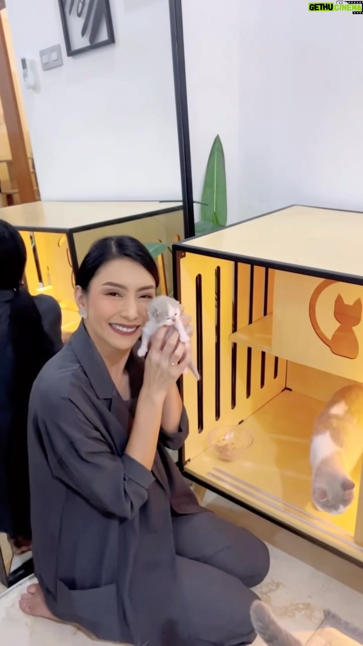 Tyas Mirasih Instagram - Satu lagi koleksi dari @kowka.id buat anabul-anabul aku khususnya untuk KUMIL & KUSUI, ini dia namanya UMU CAT AQUARIUM FOR MATERNITY penting banget nih buat kalian punya. Bisa custom warna dan bisa ditulisin nama lho. Keren banget kan 😻 Thank you so much @kowka.id 😽