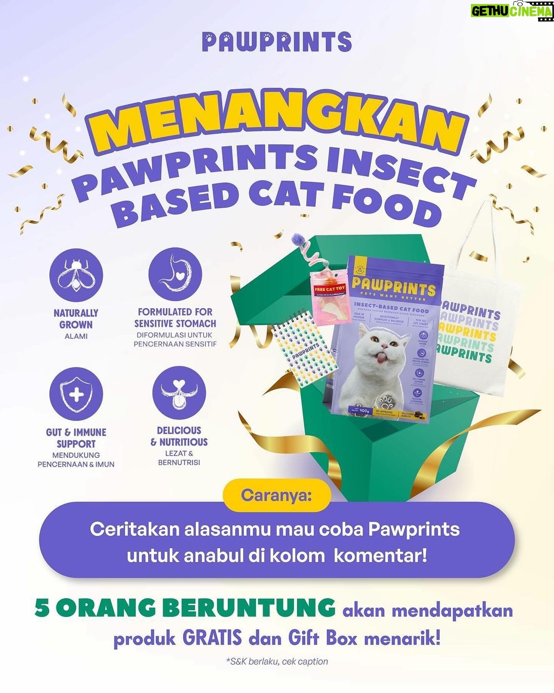 Tyas Mirasih Instagram - 🎁GIVEAWAY ALERT🎁 Siapa bilang serangga berbahaya untuk kucing? Eitts, ada lho serangga yang berbeda yang punya banyak manfaat, yaitu Black Soldier Fly (BSF)! Nah pas banget ada @pawprintsindonesia - pet food pertama di Indonesia yang bahan dasarnya dari BSF! Kaya protein, vitamin, mineral, omega 3 dan 6, juga taurin. Kucingku ternyata LAHAP BANGET makan Pawprints! BSFnya Pawprints spesial karena diternak di pabrik bersertifikasi ✅ dan makannya hanya ampas kelapa sawit yang berkualitas. Bahkan Pawprints sudah lulus standar AAFCO loh 👏🏻 Aku jadi ngga ragu untuk beralih ke Pawprints, dan mau kasih GIVEAWAY🎁 untuk 5 ORANG BERUNTUNG yang mau kasih coba Pawprints ke anabulnya! Caranya gampang banget : 1. Wajib follow IG @pawprintsindonesia & @tyasmirasih 2. Like & share postingan ini 3. Tulis alasan kamu mau kasih coba Pawprints untuk anabul di kolom comment + mention 3 temen cat loversmu Notes : *Periode giveaway mulai 17-31 Januari 2024 *Pengumuman pemenang pada tanggal 2 Februari 2024 di pinned comment postingan ini *Spam like dan comment di ig @pawprintsindonesia juga ya supaya kamu semakin dinotice! 😉💜 #SeranggaLebihBaik #Pawprints #PetsWantBetter
