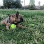Tyler James Williams Instagram - 🎾🎾