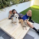 Tyler Oakley Instagram - happy second gotcha day to my lil man @croutonoakley. my brave little playful protector, he brings joy to my life every single day.