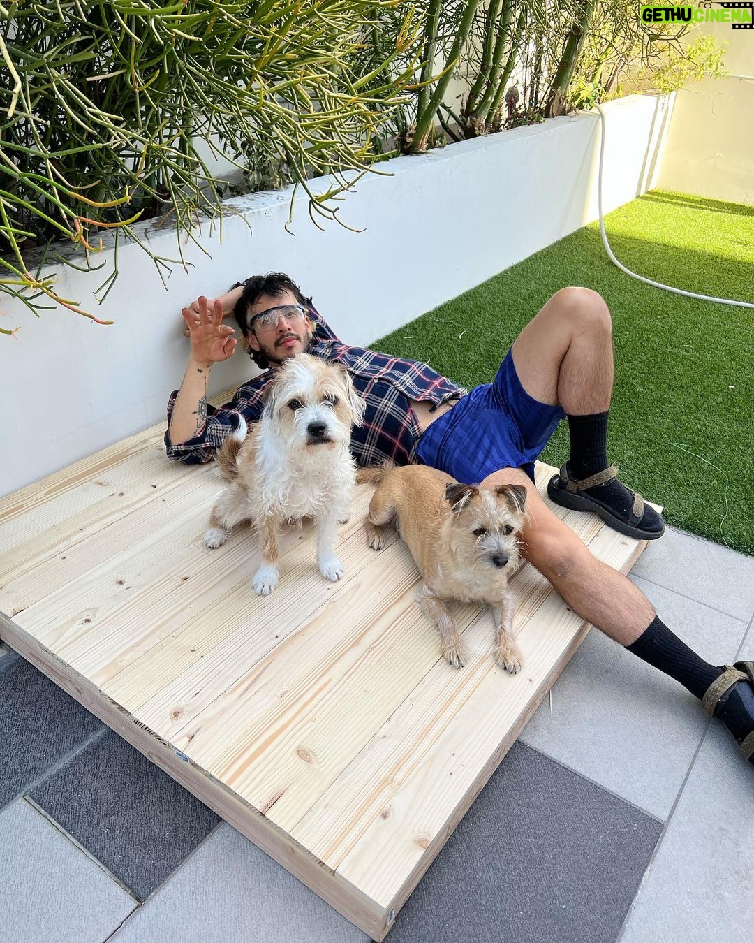 Tyler Oakley Instagram - happy second gotcha day to my lil man @croutonoakley. my brave little playful protector, he brings joy to my life every single day.