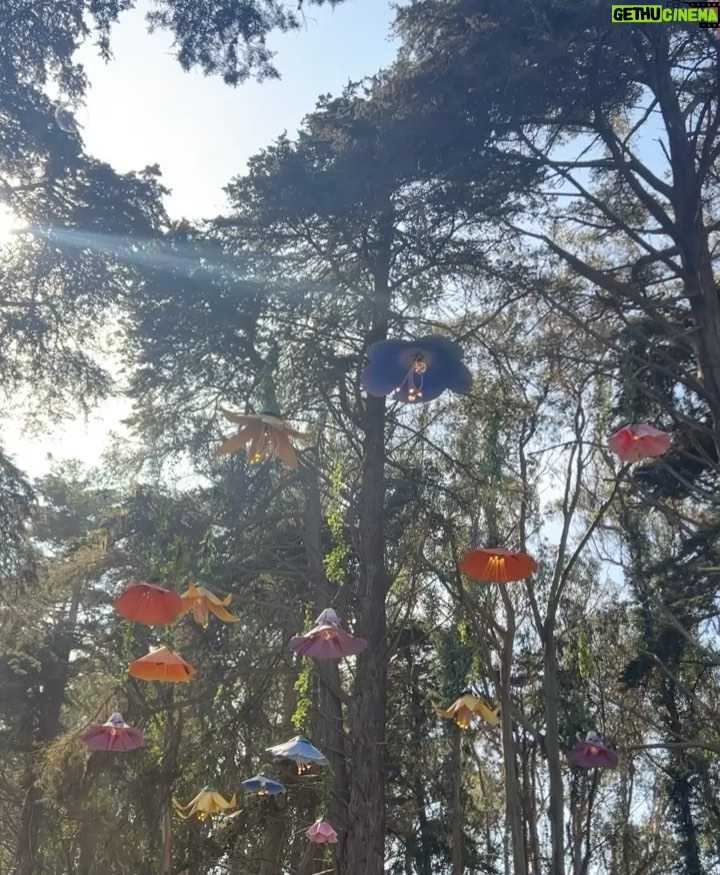 Tyler Oakley Instagram - nature & vibes & wiggles & giggles 🌀🎶 Outside Lands Music Festival