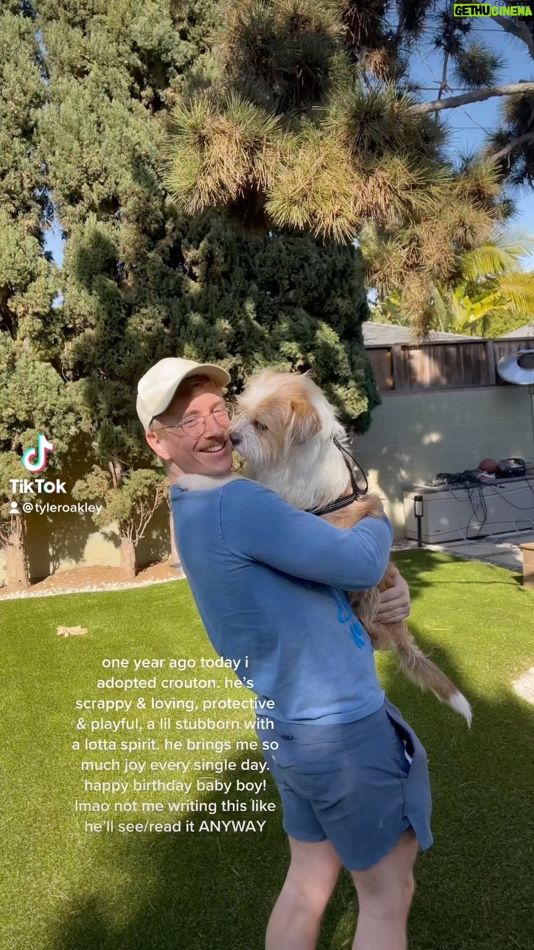 Tyler Oakley Instagram - happy first gotcha day, @croutonoakley!
