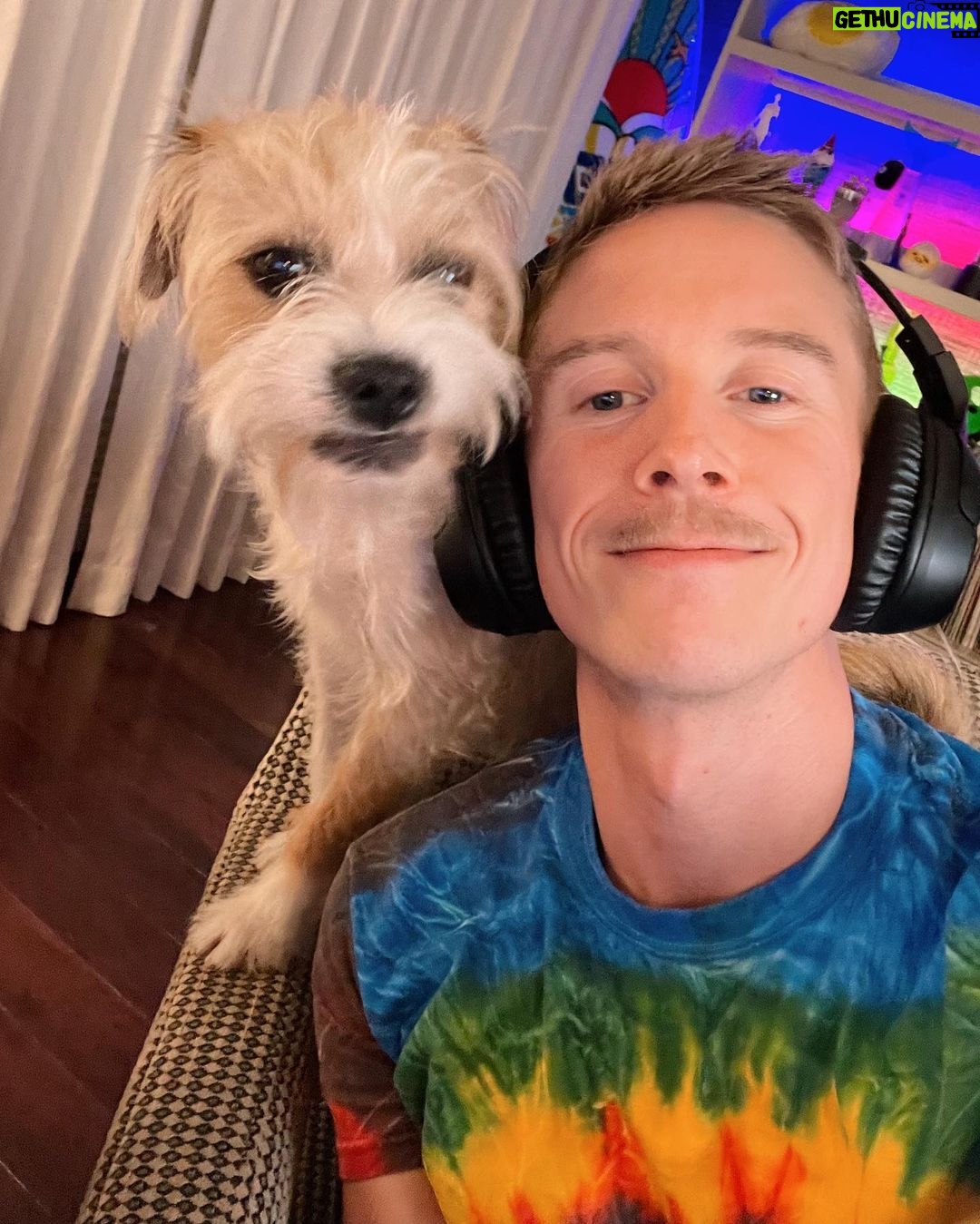 Tyler Oakley Instagram - $10,000 raised during our 12 hour fundraising livestream for @rescueorg supporting refugees around the world. so grateful. also… 16/18 of the milestone rewards were unlocked… swipe to see what y’all made happen… HI BALD! 👨🏻🦲🤍