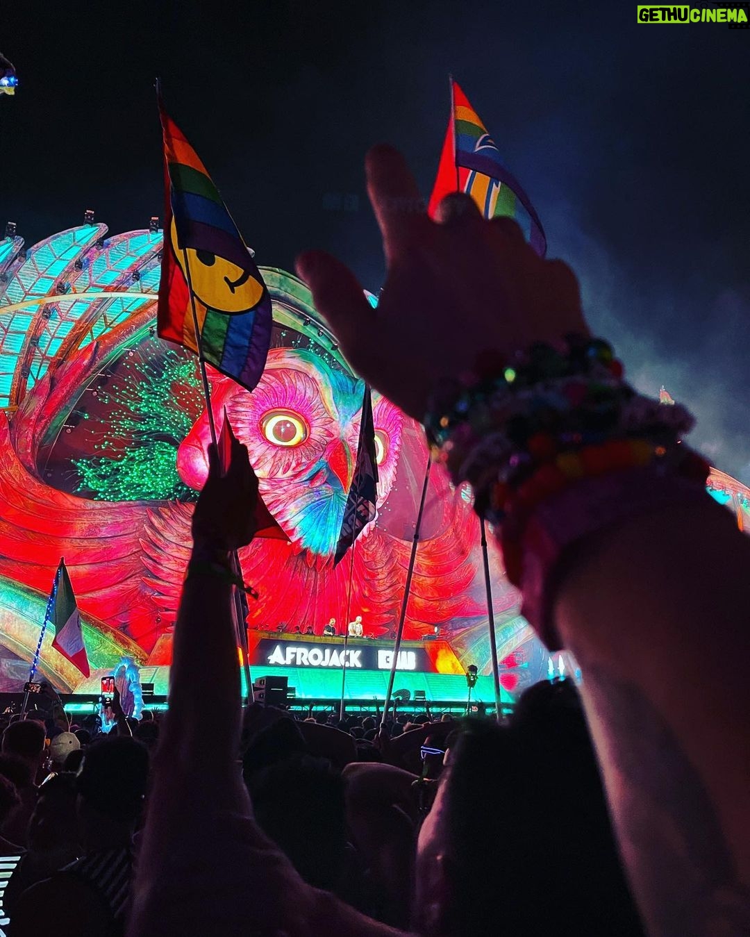 Tyler Oakley Instagram - first #EDC was worth the wait. so many giggles & wiggles, & #campEDC was the best vibe. catch me in the neon garden all day every day 😵💫⚡️🧚🏼♀️ Las Vegas, Nevada