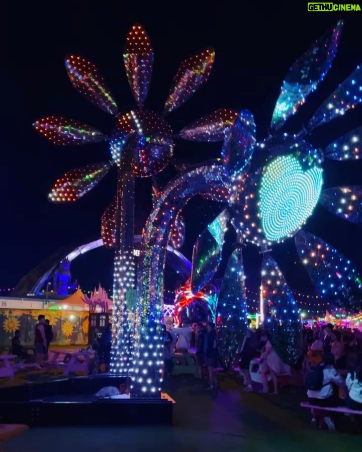 Tyler Oakley Instagram - first #EDC was worth the wait. so many giggles & wiggles, & #campEDC was the best vibe. catch me in the neon garden all day every day 😵💫⚡️🧚🏼♀️ Las Vegas, Nevada