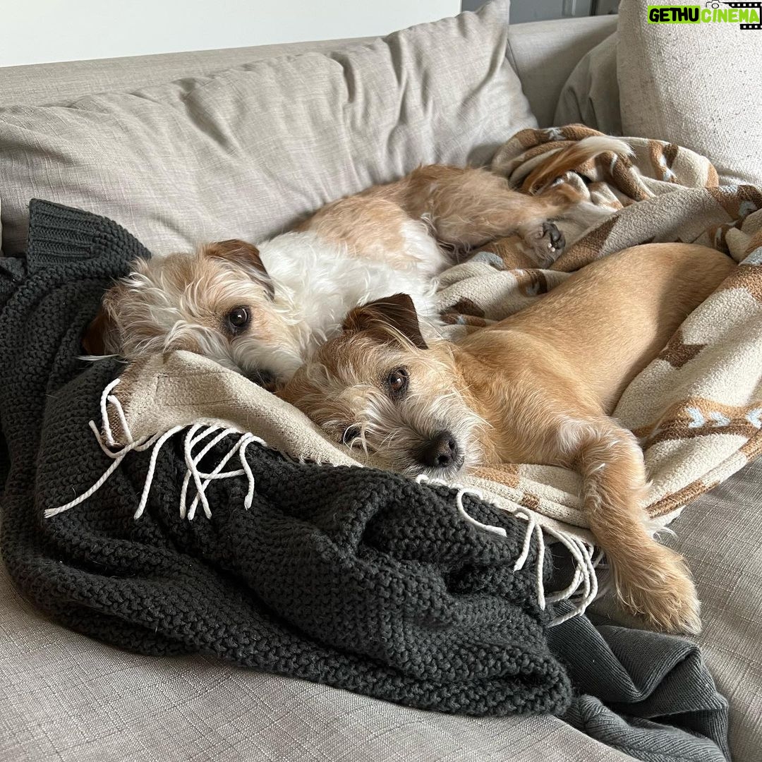 Tyler Oakley Instagram - crouton & willie wanted to say hey