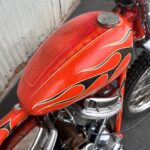 Tyler Posey Instagram - From start to finish. 1956 Panhead. Built in Huntington Beach California