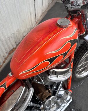 Tyler Posey Instagram - From start to finish. 1956 Panhead. Built in Huntington Beach California
