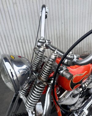 Tyler Posey Instagram - From start to finish. 1956 Panhead. Built in Huntington Beach California