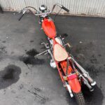Tyler Posey Instagram - From start to finish. 1956 Panhead. Built in Huntington Beach California