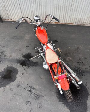 Tyler Posey Instagram - From start to finish. 1956 Panhead. Built in Huntington Beach California