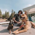 Tyler Posey Instagram – My best friends. Humans, animals, plants, whatever, we all want love