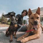 Tyler Posey Instagram – My best friends. Humans, animals, plants, whatever, we all want love