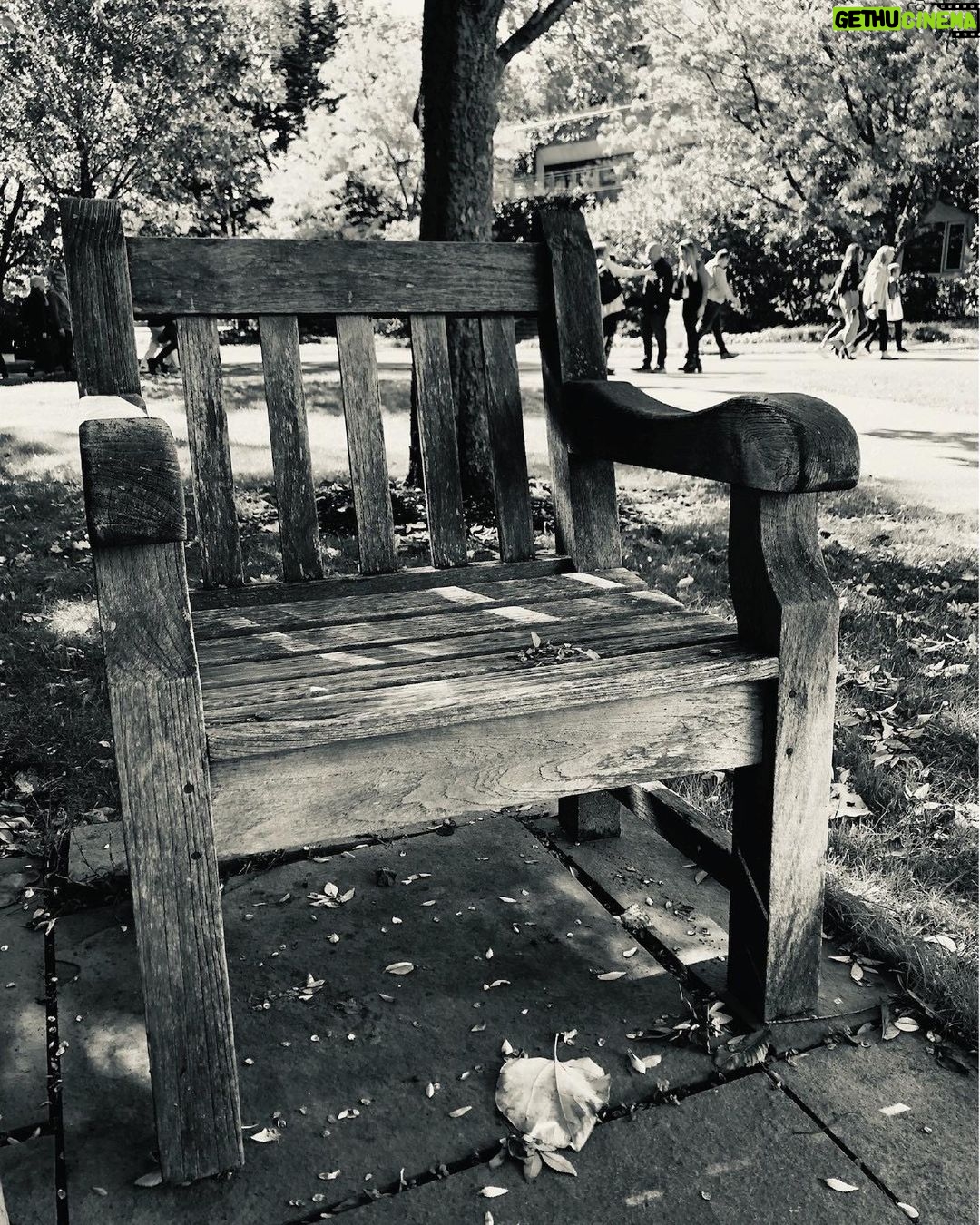 Tyra Banks Instagram - Real talk: @HarvardHBS has enriched me so much. The reunion last weekend was pretty cathartic. I took a sec and sat on a campus bench and snapped B/W photos of things around me. Just a 5 minute pause to take it all in. Now sharing with you. Keep educating yourself. Be an infinite learner. It’s truly the answer to prosperity and limitless growth. Stay curious. You got this! 💛Tyra @HBSalumni #HBSOPM #HBSforLife