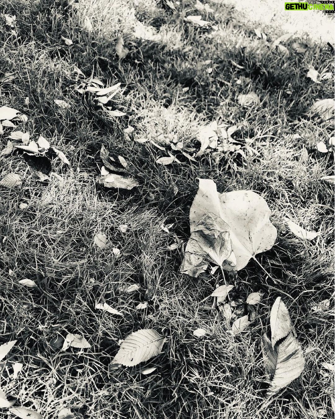 Tyra Banks Instagram - Real talk: @HarvardHBS has enriched me so much. The reunion last weekend was pretty cathartic. I took a sec and sat on a campus bench and snapped B/W photos of things around me. Just a 5 minute pause to take it all in. Now sharing with you. Keep educating yourself. Be an infinite learner. It’s truly the answer to prosperity and limitless growth. Stay curious. You got this! 💛Tyra @HBSalumni #HBSOPM #HBSforLife