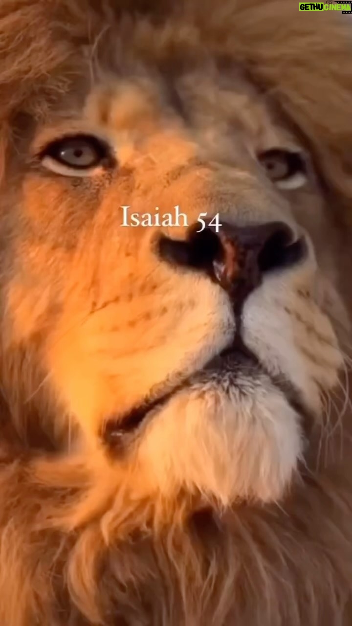 Tyrese Gibson Instagram - Who else feels like running through a wall