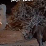 Tyrese Gibson Instagram –