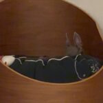 Uchinaga Eri Instagram - ただいま、おかえり