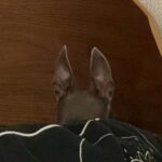 Uchinaga Eri Instagram - ただいま、おかえり