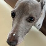 Uchinaga Eri Instagram - photodump 19-21