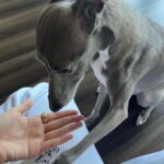 Uchinaga Eri Instagram – jimoto memories