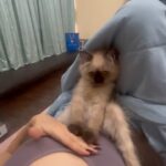 Urfi Javed Instagram – Why he does that
