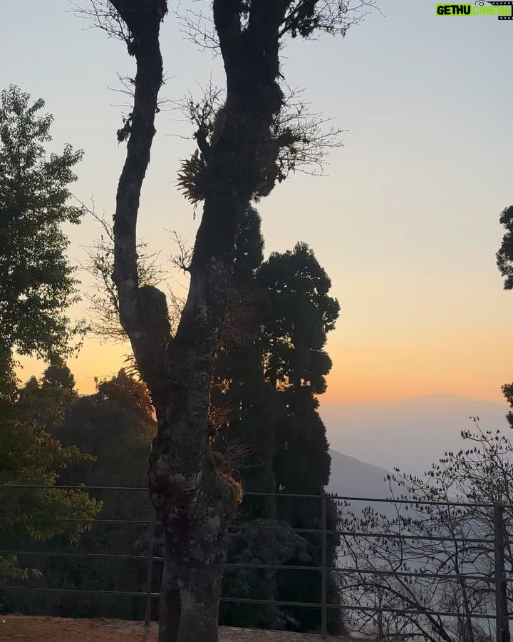 Ushasi Ray Instagram - Rubayee in Darjeeling ⛰️☕️🍩📚 My one day solo trip to my favourite hill city 🙌 #solotravel #solotraveler #solotrip #travelgram #wonderlust Darjilling
