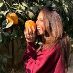 Ushna Shah Instagram - 1, 2 & 3 : Well rested & well fed 4. Vitamin C up my nosie 5. The Shashkaa @theshashkasyndicate 6. Why you should never get gel-colour application multiple times in a row. 7. Hard-headed 8. I-can-do-it-by-myself but I gotta abuse my @alburhanluggage 🧳 9. Servitude + Choo talkin bout Willis? + Lé Nail 10. Hamza studying for his thesis on boarding passes. #ushnashah