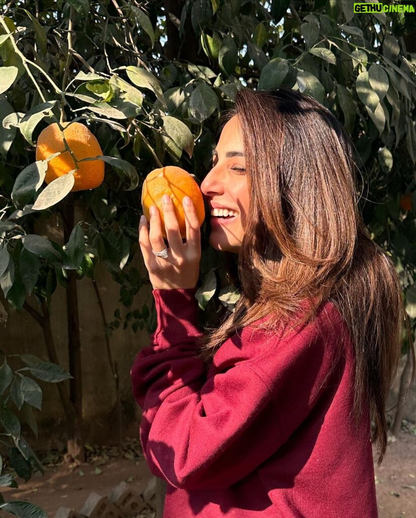 Ushna Shah Instagram - 1, 2 & 3 : Well rested & well fed 4. Vitamin C up my nosie 5. The Shashkaa @theshashkasyndicate 6. Why you should never get gel-colour application multiple times in a row. 7. Hard-headed 8. I-can-do-it-by-myself but I gotta abuse my @alburhanluggage 🧳 9. Servitude + Choo talkin bout Willis? + Lé Nail 10. Hamza studying for his thesis on boarding passes. #ushnashah