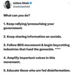 Ushna Shah Instagram - Support f@la$t33n until it’s free, even after it stops trending. Even after ceasefire (if that even happens). Don’t let their blood be in vain.