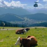 Ushna Shah Instagram - Found a Mäuschen, took her to Tirol 🇦🇹 ⛰️ @ushnashah ❤️ Seefeld, Tirol